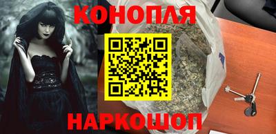 индика Ставрополь