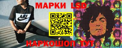 индика Ставрополь