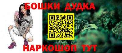 индика Ставрополь