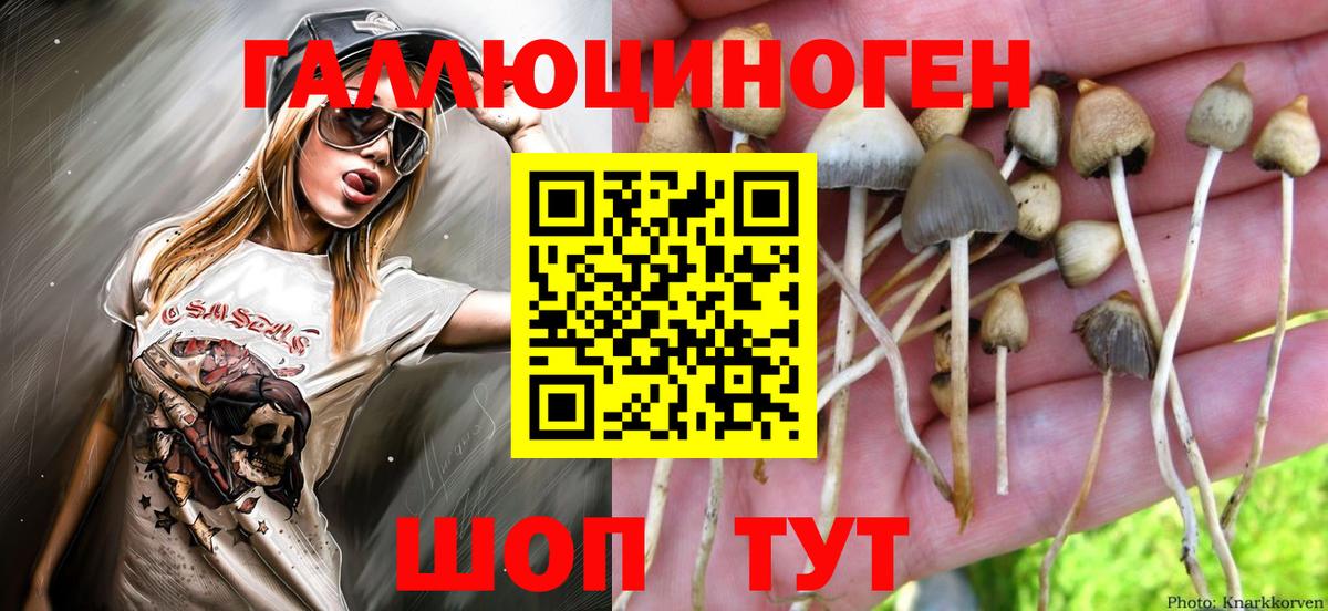 Псилоцибиновые грибы Magic Shrooms  Псилоцибиновые грибы Cubensis  Мариинск  Вход с VPN 