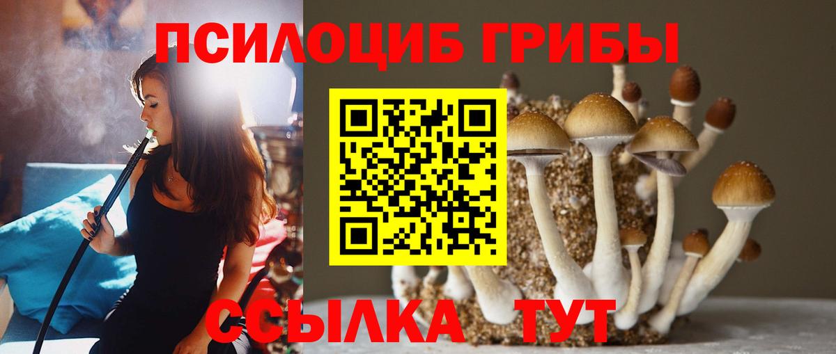 Галлюциногенные грибы GOLDEN TEACHER Мариинск
